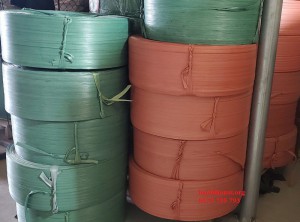Dây đai bẹ xanh