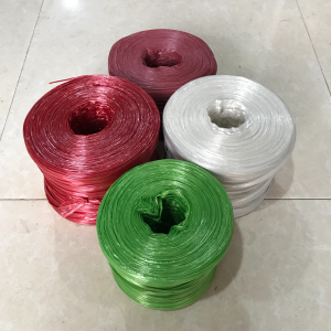 Dây buộc nilon mầu