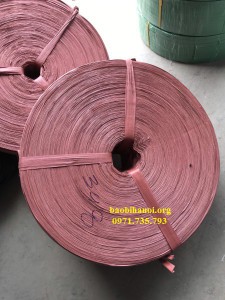 Dây đai bẹ đỏ